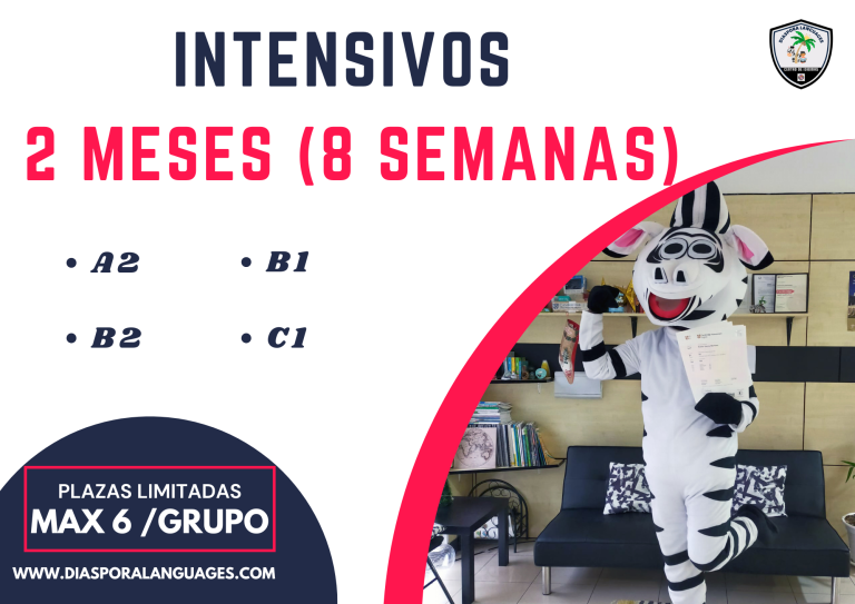 intensivos inglés en Zaragoza Diaspora Languages Zaragoza